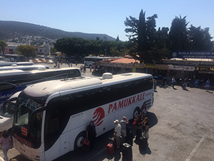 Gölköy, the setting for yoga retreats